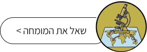 שאל את המומחה