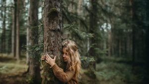 מחבקי העצים