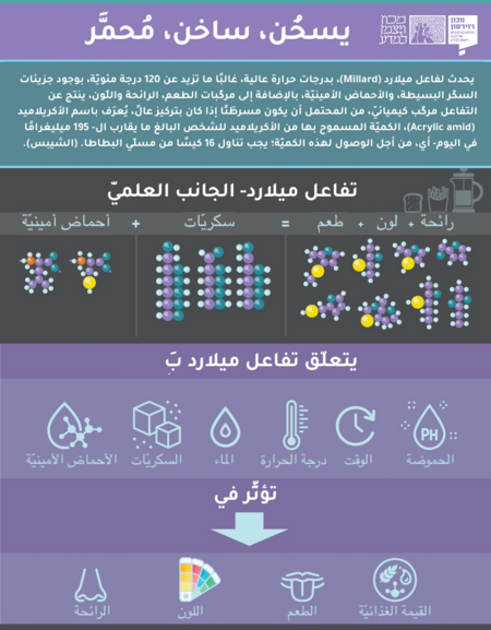 אינפוגרפיקה