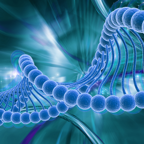 אופרון הלקטוז – ביטוי מושרה של גנים