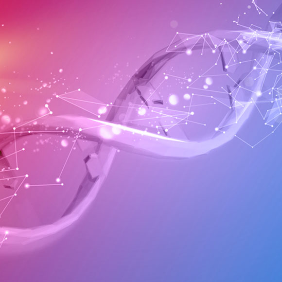 הדנ”א: חוברת ההפעלה של הגוף