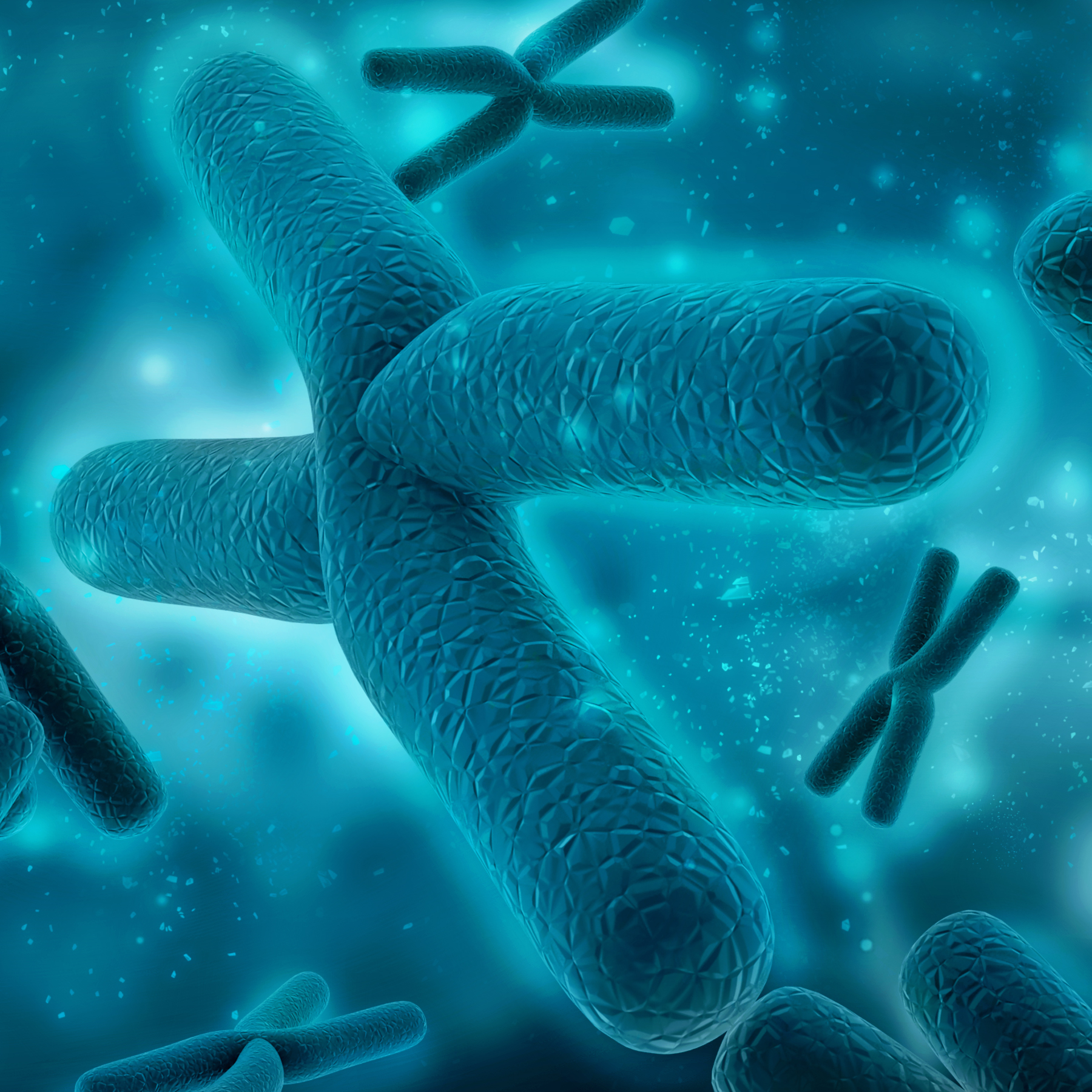 מהו כרומוזום?