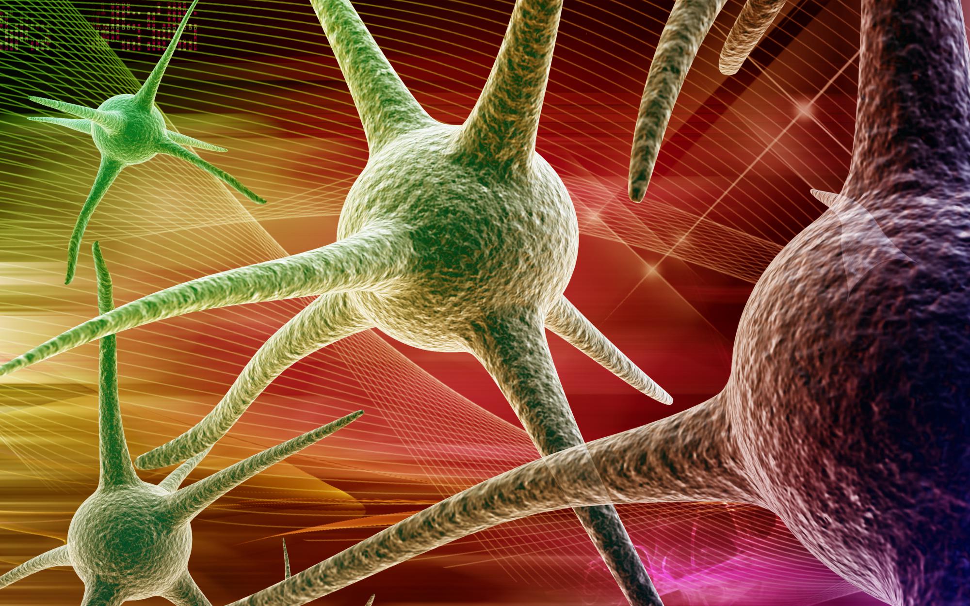 איך התא מונע מוטציות לא רצויות?