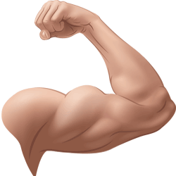 מנגנון פעולת השריר