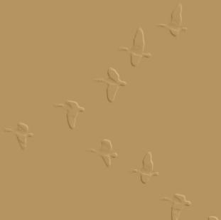 האם צורת ה-V של להקות ציפורים מבלבלת את אויביהם? רותם