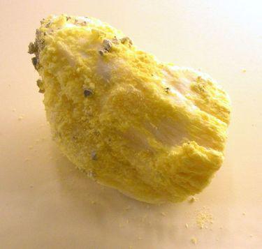 האם חומצה בורית רעילה? עופרי