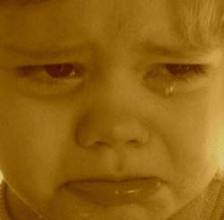 האם יש בעלי חיים המסוגלים לבכות? אהרון