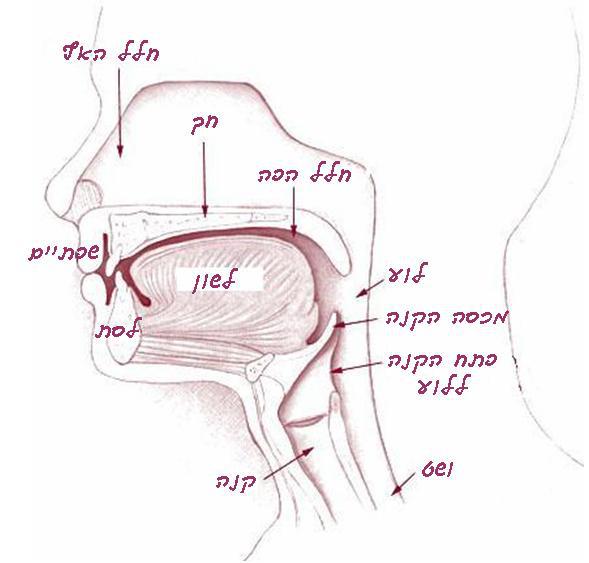 מדוע אנו משהקים?