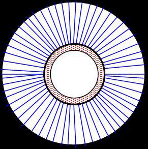 כיצד נשים הרחיבו אישונים בימי הביניים ומדוע עשו זאת? רחל