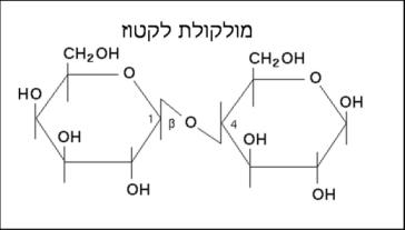 האם חלב דל לקטוז באמת מתוק יותר? מנחם