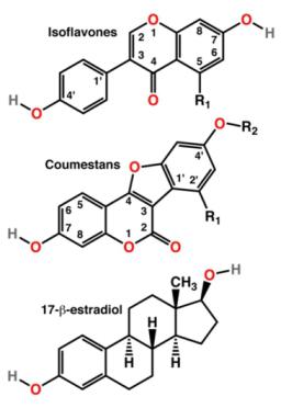 מהם פיטואסטרוגנים? ניצן
