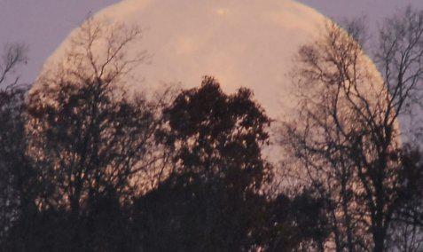 מדוע לעיתים הירח נראה גדול יותר? אלישע