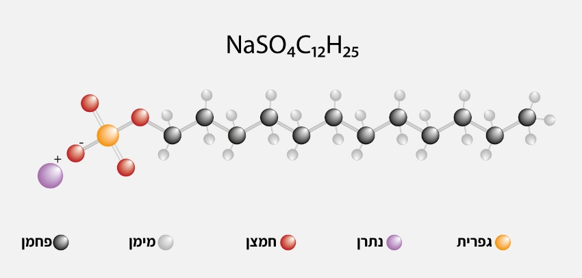 המבנה של מולקולת SLS, חומר נפוץ מאוד בתמרוקים ובחומרי ניקוי בימינו. 12 אטומי פחמן מחוברים בשרשרת לראש גופרתי טעון חשמלית במטען שלילי ומחובר ליון נתרן בעל מטען חיובי | איור: firatturgut, Shutterstock