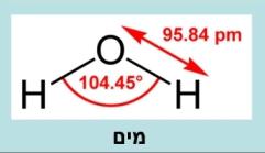 מהו המבנה הכימי, מסיסות, קוטביות ואנומליה של המים? מלי, רועי