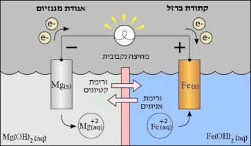 כיצד ניתן לייצר חשמל מתפוח אדמה? גבי