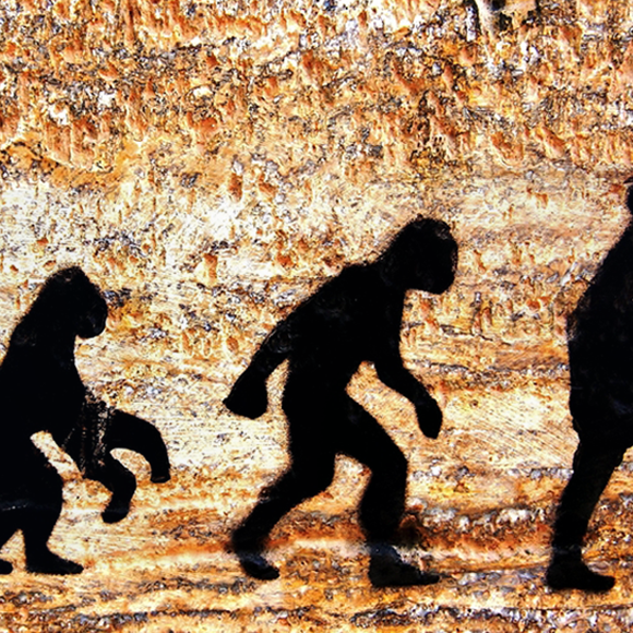 כיצד האבולוציה פועלת?