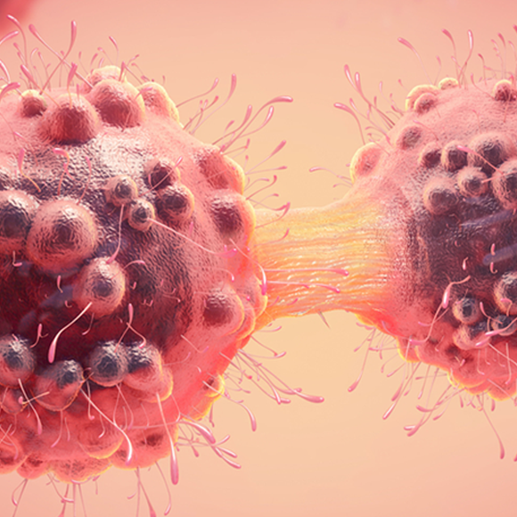 שעתוק: החוליה המקשרת בין ה-DNA והחלבון