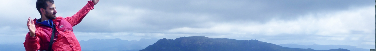 טיפולים בסרטן – טיפול בתאי פלנקס