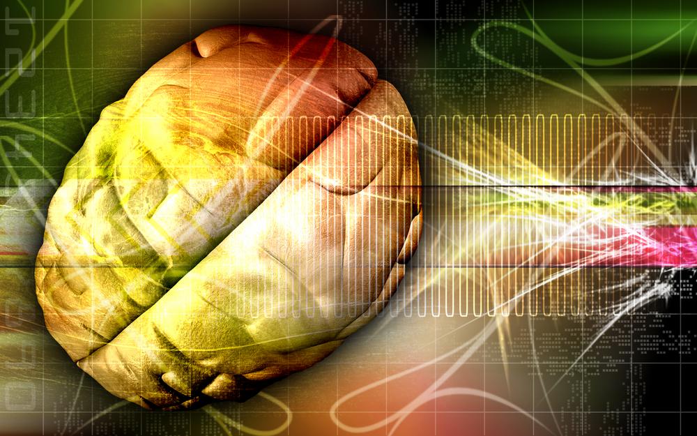 מסע אל מסתרי המוח – ההיפוקמפוס