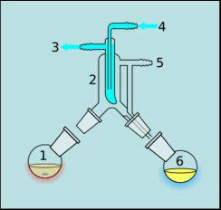 מהי תכונה מפרידה? יניב