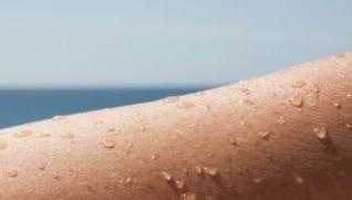 מדוע קר לנו כאשר אנחנו יוצאים מן המים בקיץ? הילה