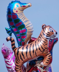 האם משקל בלון מנופח שונה או שווה למשקל אותו בלון לא מנופח? גל