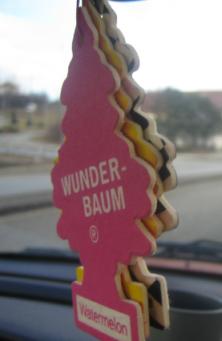 האם ריח זה חיידקים, חלקיקים או משהו אחר? עידן