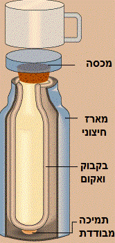 כיצד תרמוס שומר על חום וקור?