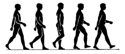 מדוע כאשר הולכים הידיים שלנו מתחילות לנוע לצדדים (בכיוון ההפוך לצעד)? גלעד