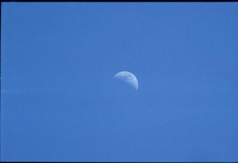 מדוע אנו רואים את הירח בשעות היום?