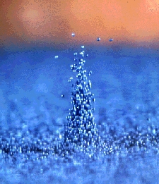 מהם גליי פארדיי? ריימונד