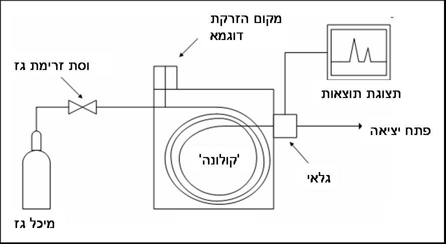 איך עובדת כרומטוגרפיית גז?