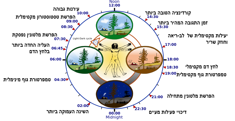 האם האקלים הסביבתי במדינה משפיע על מצב הרוח בחברה? טל