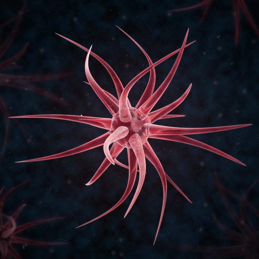 אניונים – “חיות דו ממדיות”