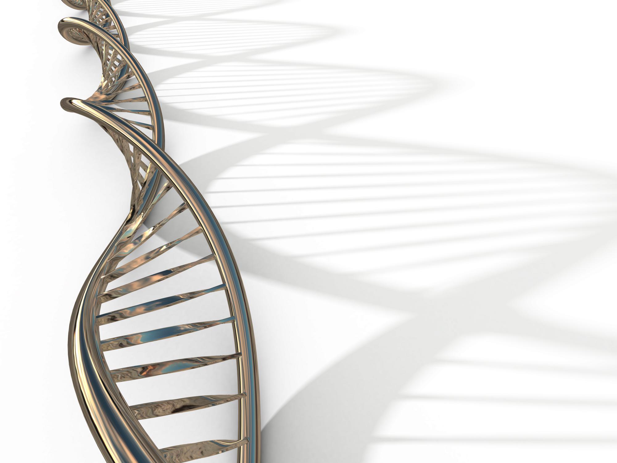 חיים שלא מהעולם הזה