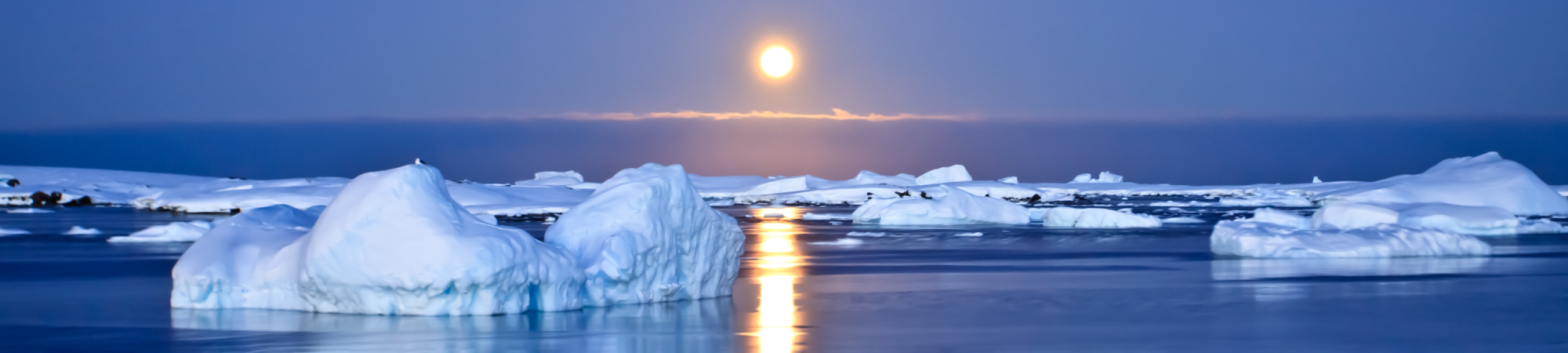הפשרת קרחונים ועלייה בגובה פני הים