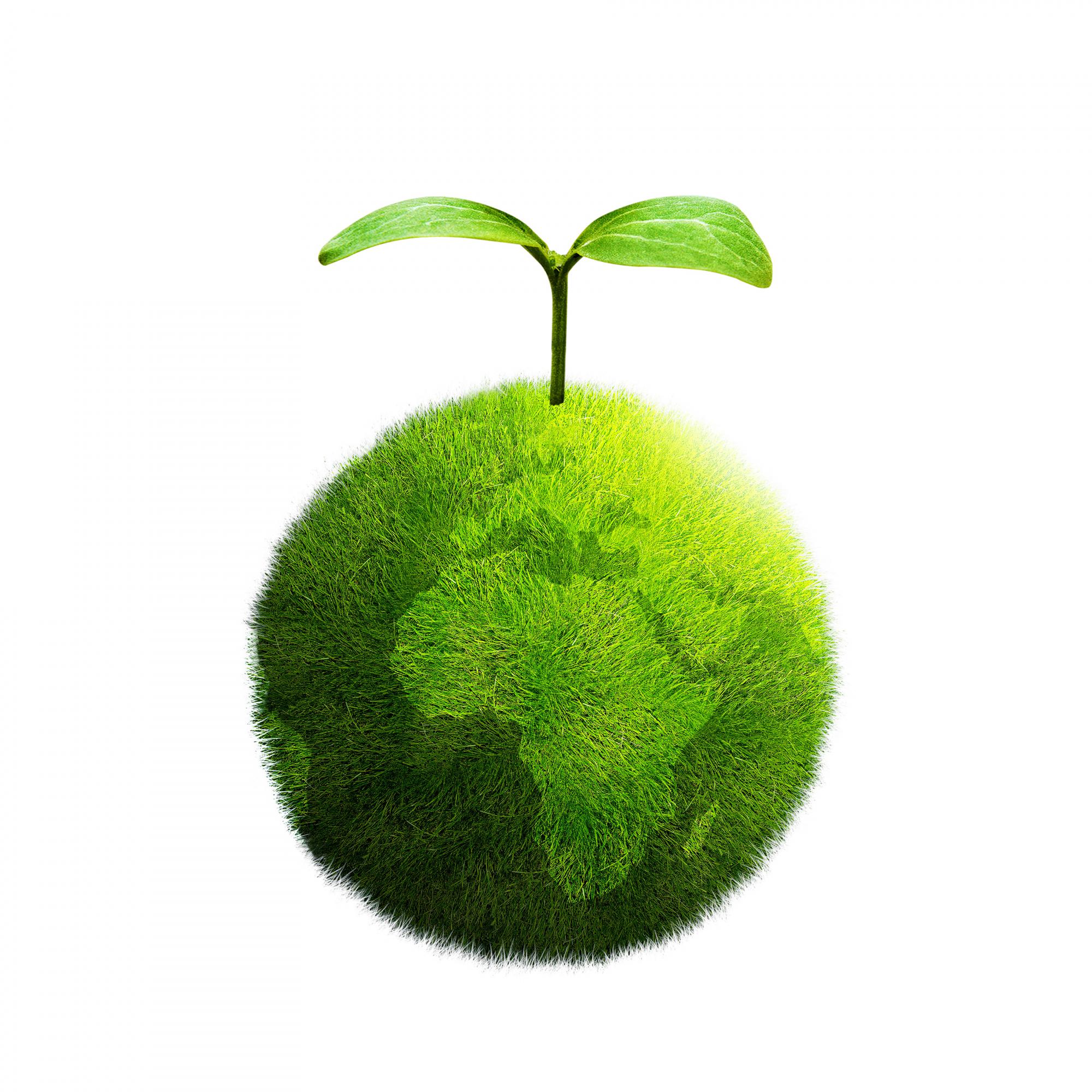 כיצד משפיע השינוי באקלים על צמחיית כדוה”א ועל מחזור הפחמן?