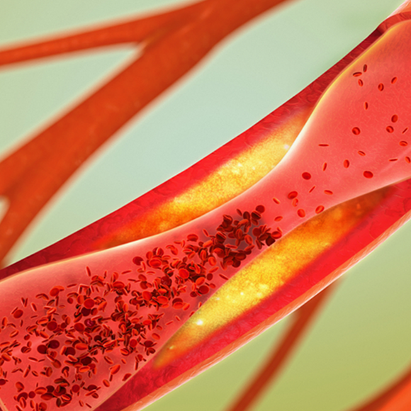 Do newborn babies have a blood-brain barrier? Shani