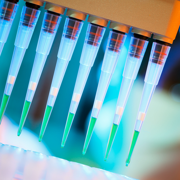 RNA interference – shooting the messenger