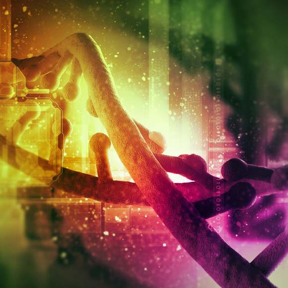 The protein production process – the secret of life