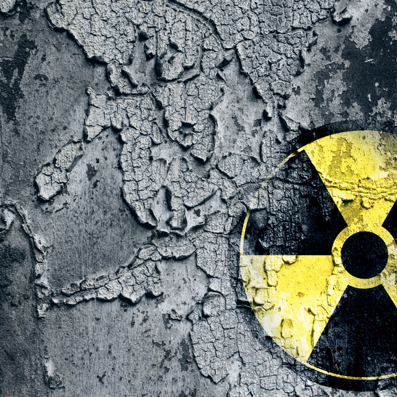 Nuclear plants – function and malfunctions, with a view to Japan