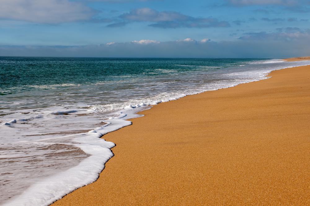 כוחות הגאות והשפל