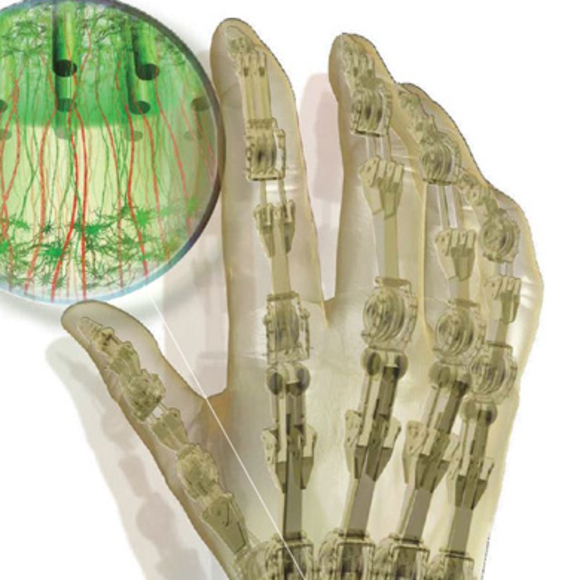 קישורים ביוניים