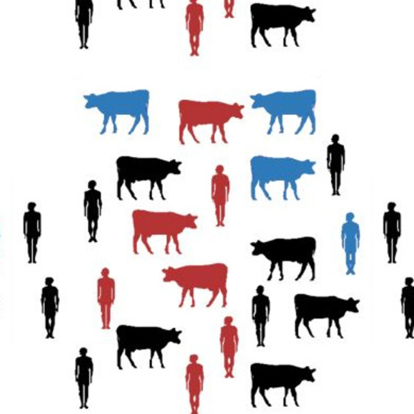 נגיפי האבעבועות מאיימים שוב