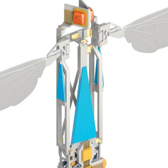 מעוף הדבורים הרובוטיות