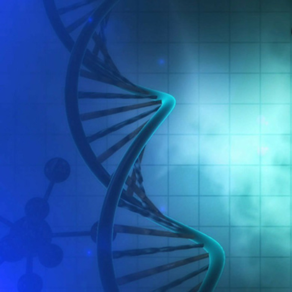 הממשלה רוצה את הדנ”א שלך