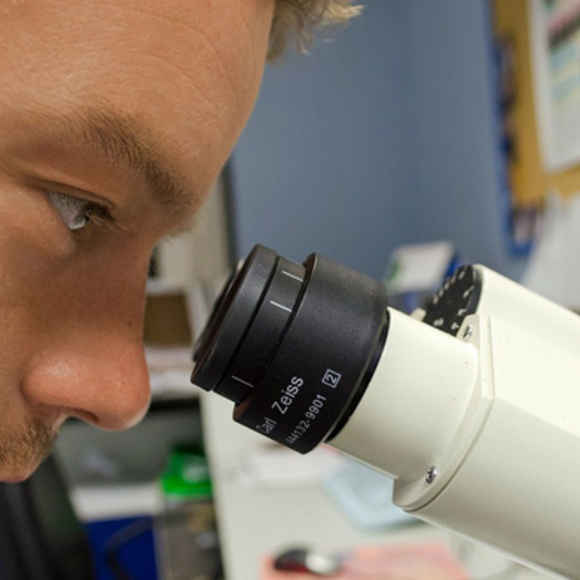 מגדלורי רפאים של פיזיקה חדשה