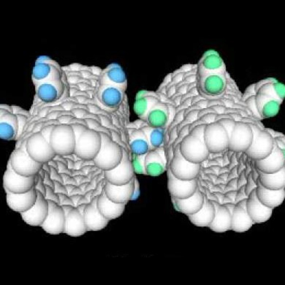 עלייתן של מכונות הננו