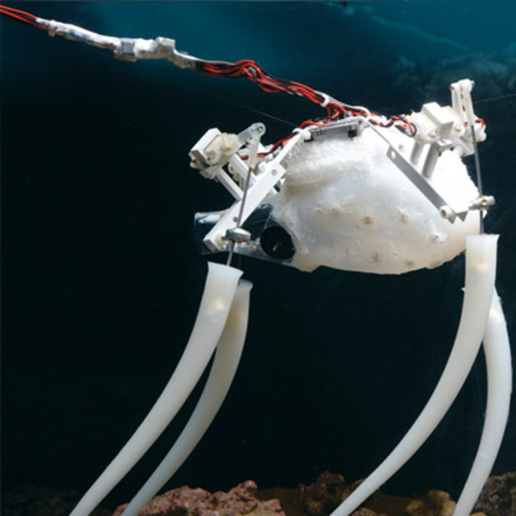 איך לבנות תמנון רובוטי?