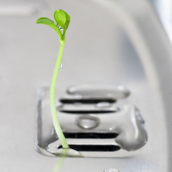 ביוטכנולוגיה במטבח